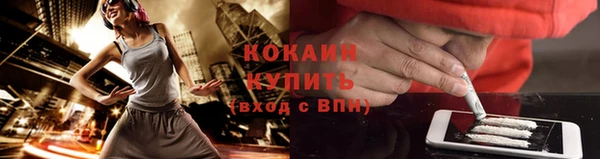крисы Абдулино
