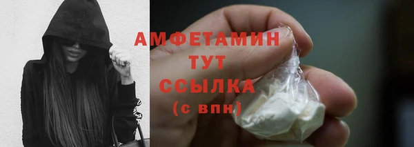 молекула духа Семёнов