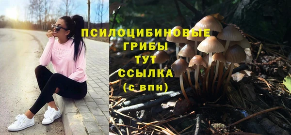молекула духа Семёнов