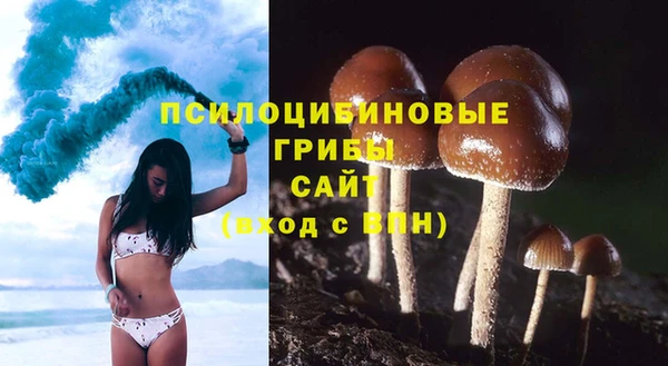 молекула духа Семёнов