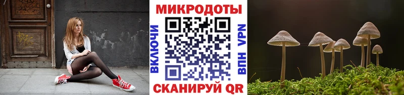 Псилоцибиновые грибы ЛСД  закладка  Балахна 